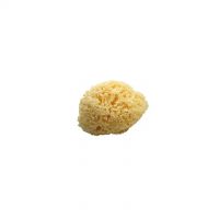 Koh-i-noor natural sponge for bathroom shower 12 13 cm Wellness 9M